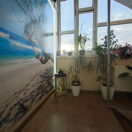 Finezja Wladyslawowo