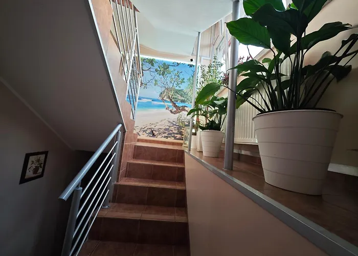 Finezja Gasthuis Władysławowo