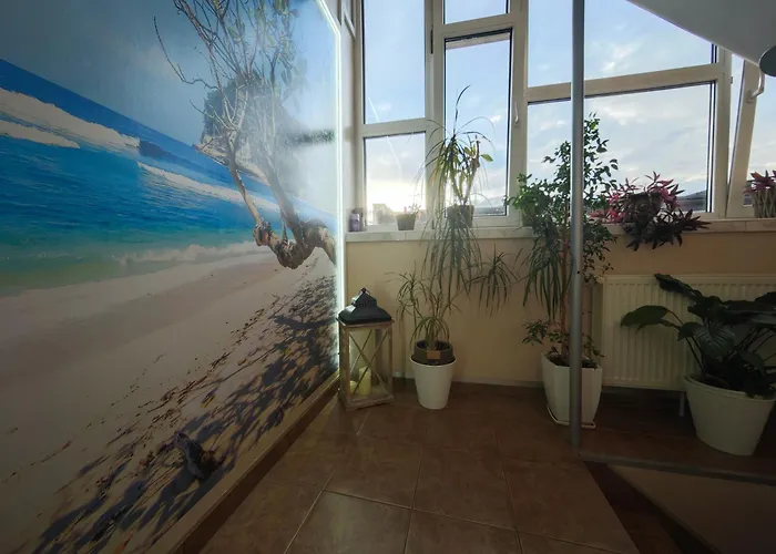 Finezja Władysławowo